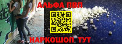 крисы Можга